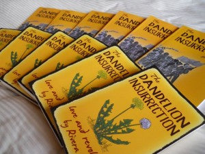 Book Club Special - 6 Novels & 6 Study Guides, and Live Zoom with Rivera Sun! -- SAVE 24%